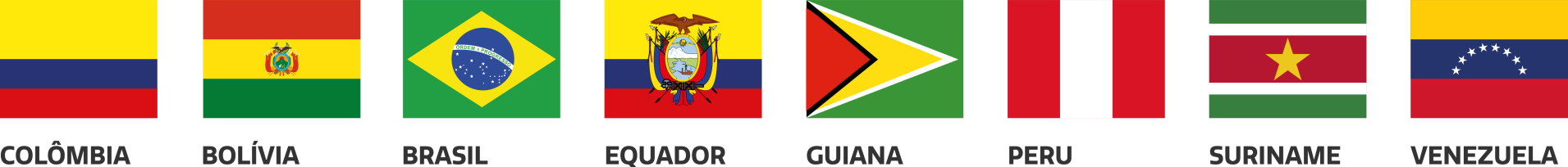 V Cúpula de Presidentes dos países Amazônicos