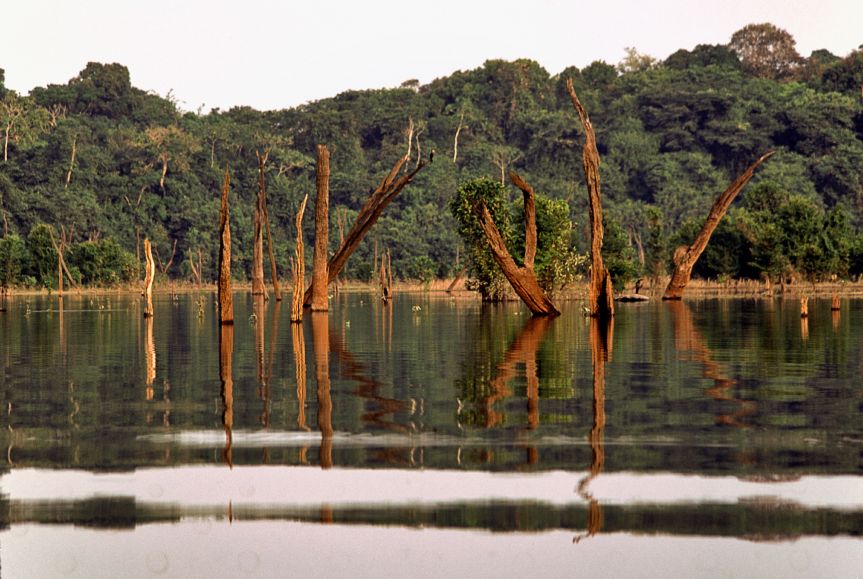 Proyecto Amazonas: Acción Regional en el Área de Recursos Hídrico