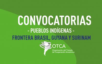 Contratación de consultoría para la elaboración de informes de análisis de situación de salud de pueblos indígenas en la Frontera Brasil, Guyana y Surinam