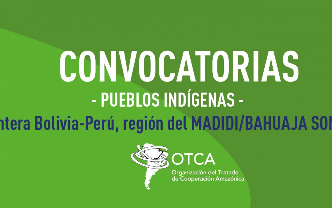 Contratación de consultoría para la elaboración de informes de análisis de situación de salud de pueblos indígenas en la Frontera Bolivia-Perú, región del MADIDI/BAHUAJA SONENE