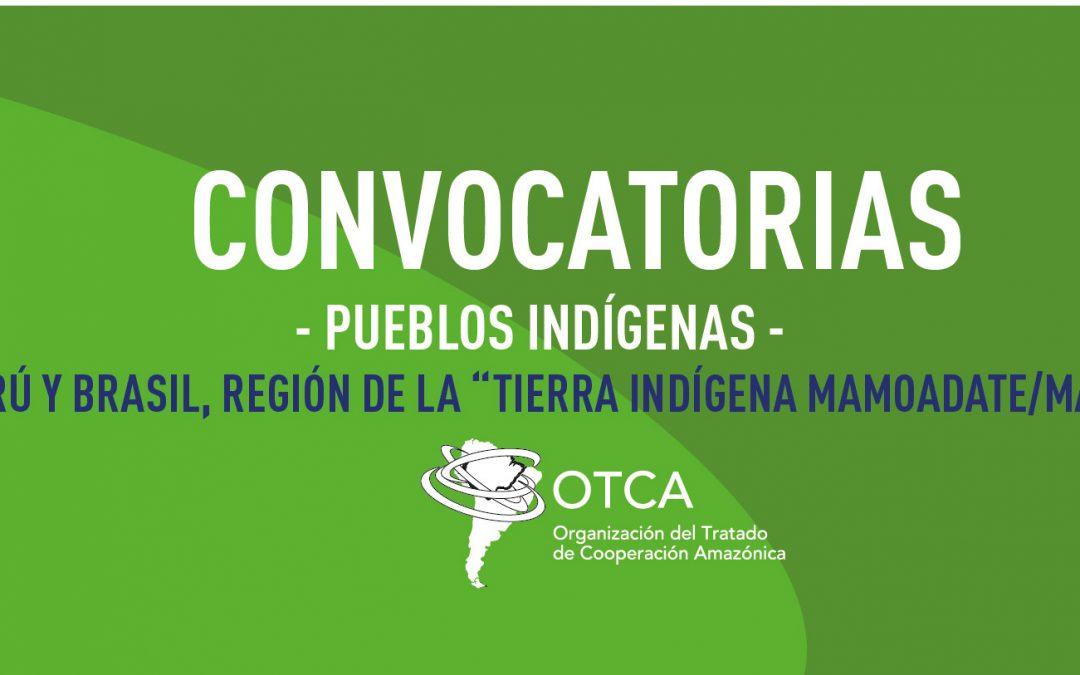 Contratación de consultoría para la elaboración de informes de análisis de situación de salud de pueblos indígenas en la Frontera Perú y Brasil, región de la “Tierra Indígena Mamoadate/Madre de Dios”