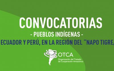 Contratación de consultoría para la elaboración de informes de análisis de situación de salud de pueblos indígenas en la Frontera Ecuador y Perú, en la región del “Napo/Tigre/Curaray”