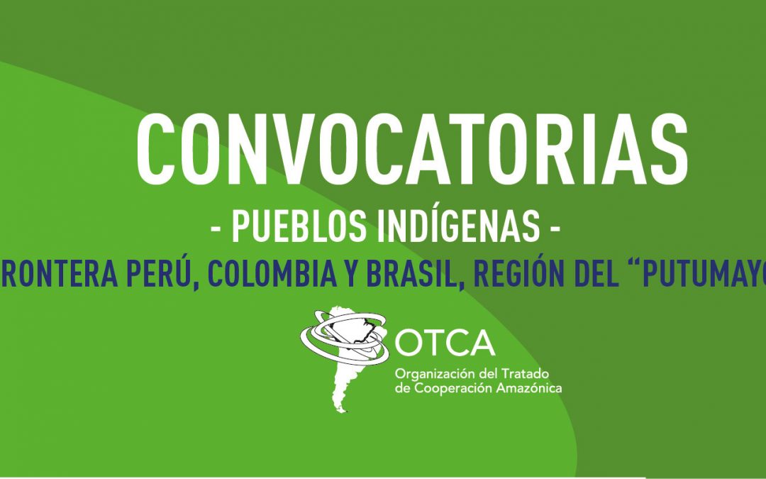 Contratación de consultoría para la elaboración de informes de análisis de situación de salud de pueblos indígenas en la Frontera Perú, Colombia y Brasil, región del “Putumayo”