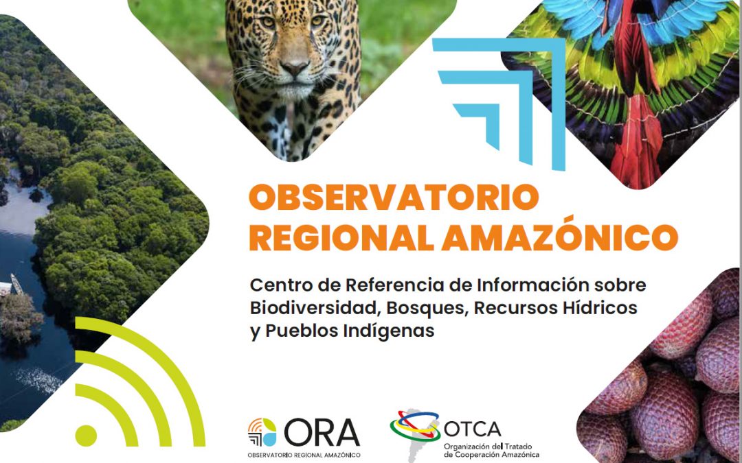 Observatorio Regional Amazónico (ORA)