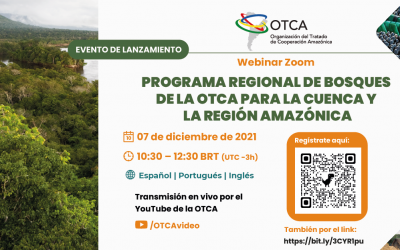 OTCA realiza webinar para el lanzamiento del “Programa de Bosques de la OTCA para la Cuenca y la Región Amazónica”