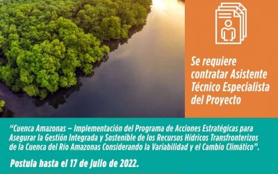 Proyecto Cuenca Amazónica: está seleccionando Asistente Técnico Especialista de Apoyo a la Coordinación Nacional en Ecuador