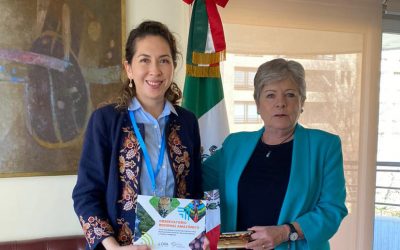 Secretaria General de la OTCA se reúne con Alicia Bárcena