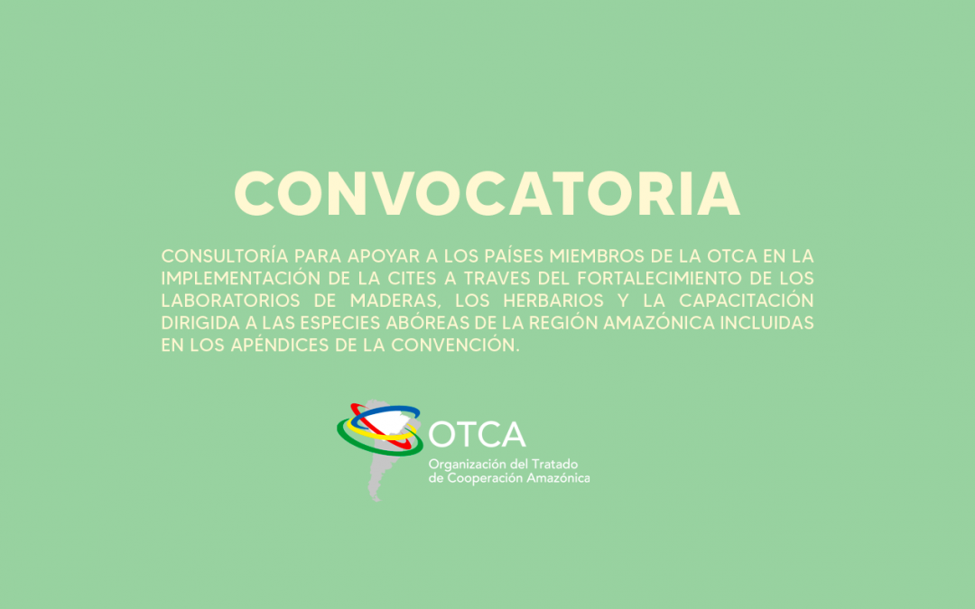 Convocatoria para contratar un Consultor para apoyar a los Países miembros de la OTCA en la implementación de la CITES a traves del fortalecimiento de los laboratorios de maderas, los herbarios y la capacitación dirigida a las especies abóreas de la Región Amazónica.