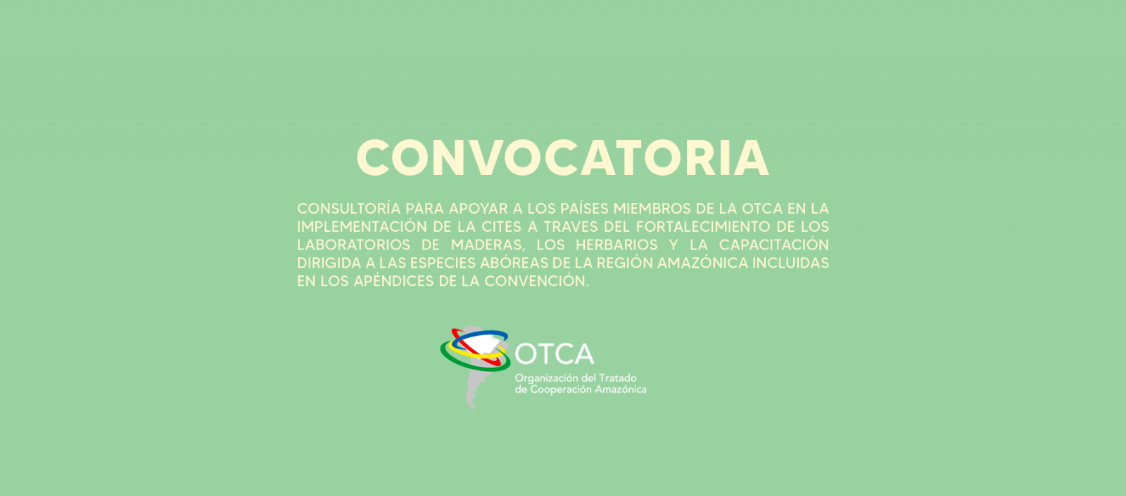 Convocatoria Para Contratar Un Consultor Para Apoyar A Los Pa Ses