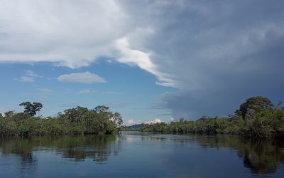Venezuela celebra esta semana el Taller Nacional de Implementación del PAE para abordar la gestión integrada y sostenible del agua en la cuenca  amazónica