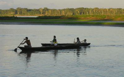 Amazon Project: Regional action in the area of water resources