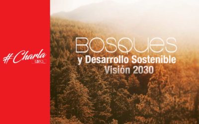 Charla – Bosques y desarrollo sostenible: visión 2030 (20 y 21 de marzo)