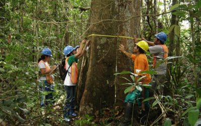 Evento paralelo: Agenda Forestal de los Países Miembros de la OTCA (03 de mayo)