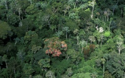 Reunión con representante nacional de la IUCN (27 de marzo)