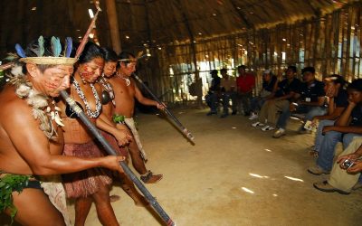 ACTO discloses guidelines and directions on the protection of Amazonian indigenous peoples