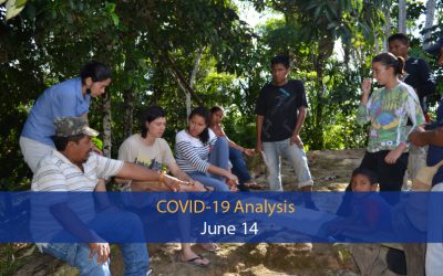Analysis of the impact of covid-19 in the Amazon Region (June 14)