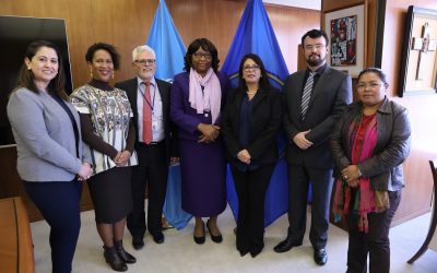 Promoting Regional Health Agenda, subject of a working meeting between ACTO and PAHO/WHO