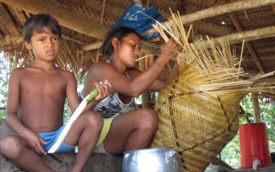 Side event: Indigenous Peoples in Voluntary Isolation and Initial Contact in the Amazon Region (26 April)