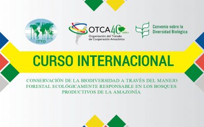 International Course: Conservation of Biodiversity through Ecologically Responsible Forest Management in the Productive Forests of the Amazon