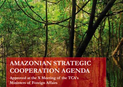 Amazon Strategic Cooperation Agenda