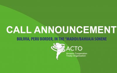 ACTO hires of consultancy for the preparation of reports on the analysis of the health situation of indigenous peoples: Bolivia, Peru Border, in the “MADIDI/BAHUAJA SONENE