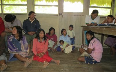 Actions are defined for the implementation of the Health Contingency Plan for Indigenous Peoples and the fight against Covid-19 in the Amazon Region