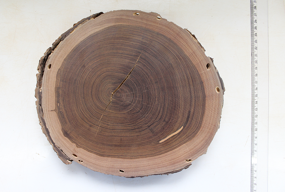 Forest Products Laboratory and RJ Botanical Garden make wood collection data available on the internet