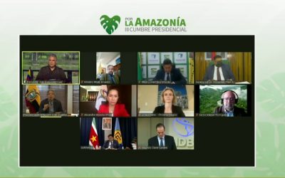 Leticia Pact: Amazon countries support the strengthening of ACTO