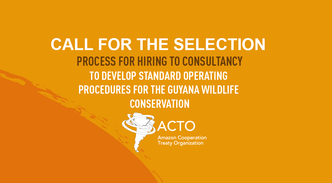 International agency hires consulting