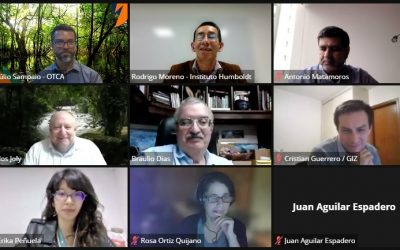 Project Biomaz and the private sector held a webinar on the Rapid Assessment of Biological Diversity in the Amazon Region