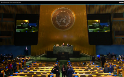 ACTO receives status of Permanent Observer at the UN General Assembly