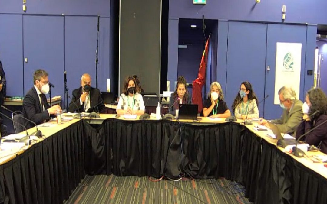 ACTO holds a side event at COP 15: The global importance of the Amazon