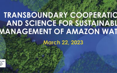 Transboundary Cooperation and Science for Sustainable Management of Amazon waters