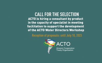 ACTO is hiring a meeting facilitation consultant
