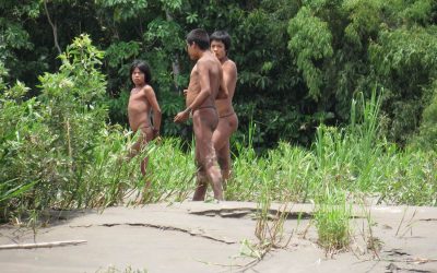 ACTO discusses isolated Indigenous peoples in the Amazon Summit