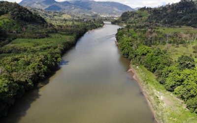 Peru reaffirms its commitment to regional efforts for the sustainable management of the Amazon Basin