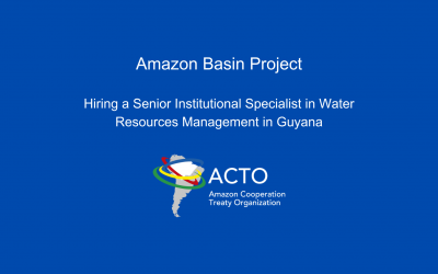 ACTO is recruiting a Senior Institutional Consultant specialized in Water Resources Management