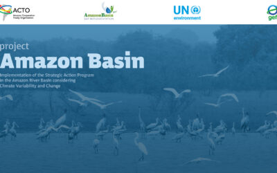 To celebrate the 46th anniversary of the Amazon Cooperation Treaty, ACTO launches the new Amazon Basin Project website