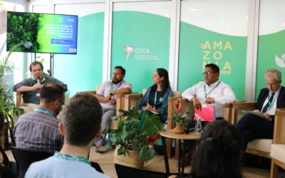 The IDB Promotes a Preventive Approach in Forest Fire Management in the Amazon During COP 16