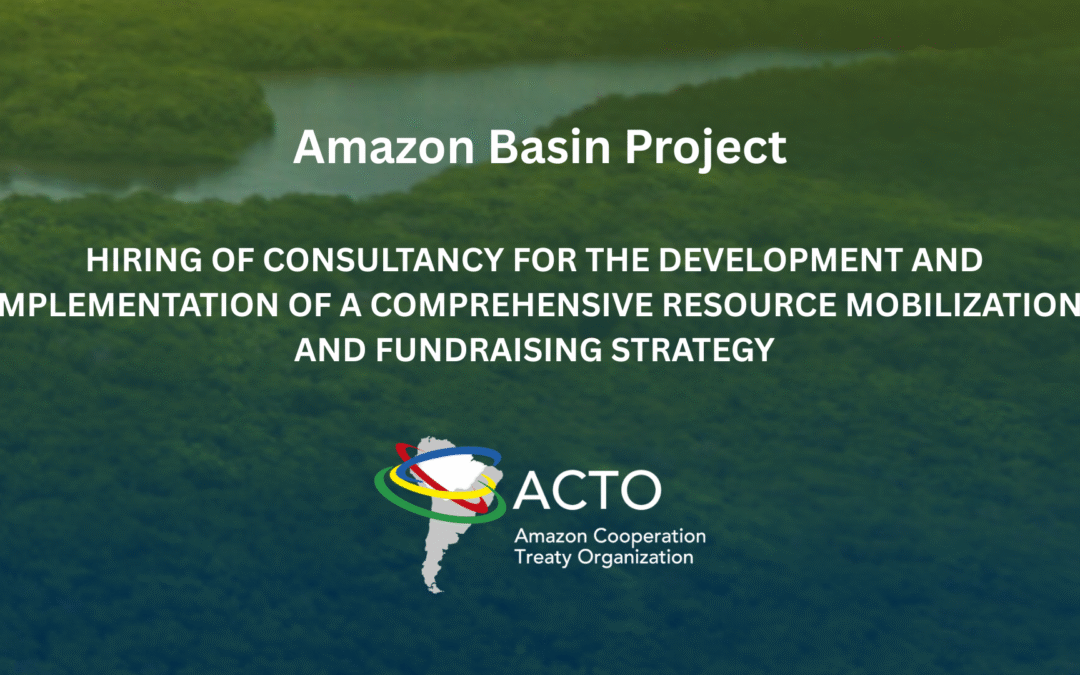 Consulting for Fundraising and Partner Strategy