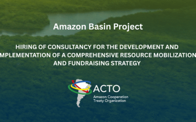 Consulting for Fundraising and Partner Strategy