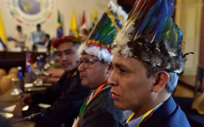 OTCA Gives Historic Green Light to Indigenous Rights in the Amazon
