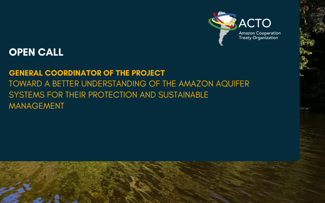 Call for Applications – General Coordinator of the AAS Project