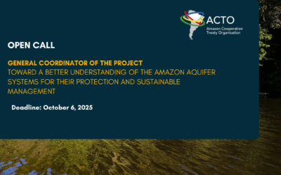Call for Applications – General Coordinator of the AAS Project