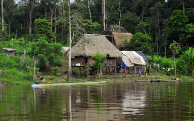 Projeto de Apoio à Elaboração e Implementação da Agenda Estratégica de Cooperação Amazônica