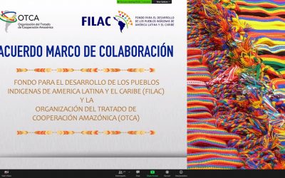 Acuerdo Marco de Colaboración entre la OTCA y FILAC