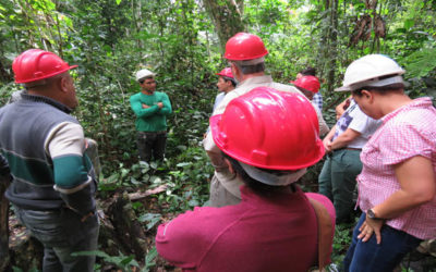 Curso de conservación de la biodiversidad a través del manejo forestal