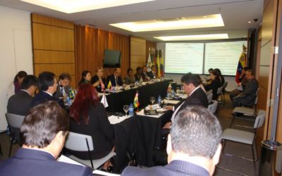 Reunión Extraordinaria del Consejo de Cooperación Amazónica (5 y 6 de septiembre)
