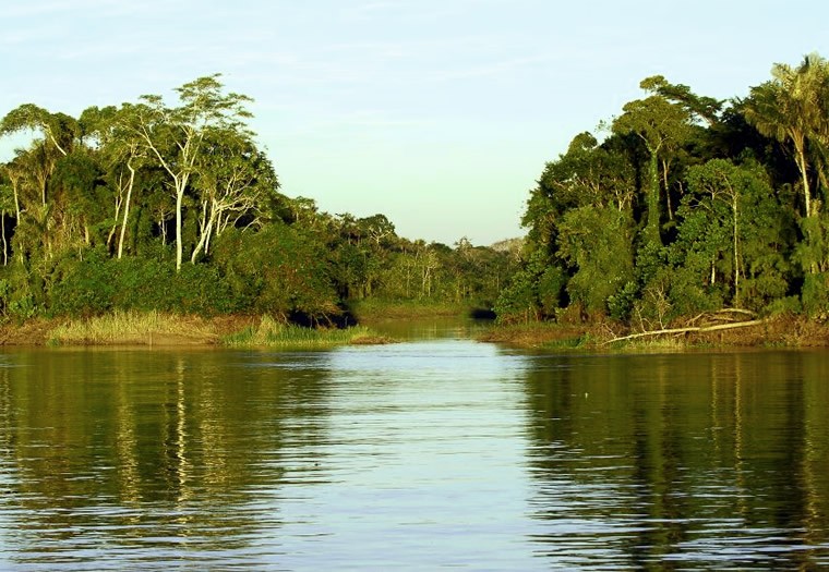 Galeria de fotos da Amazônia