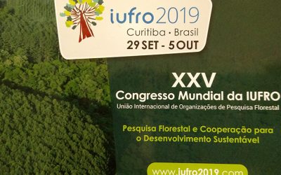 OTCA apresenta trabalho no campo da pesquisa florestal no congresso mundial da IUFRO